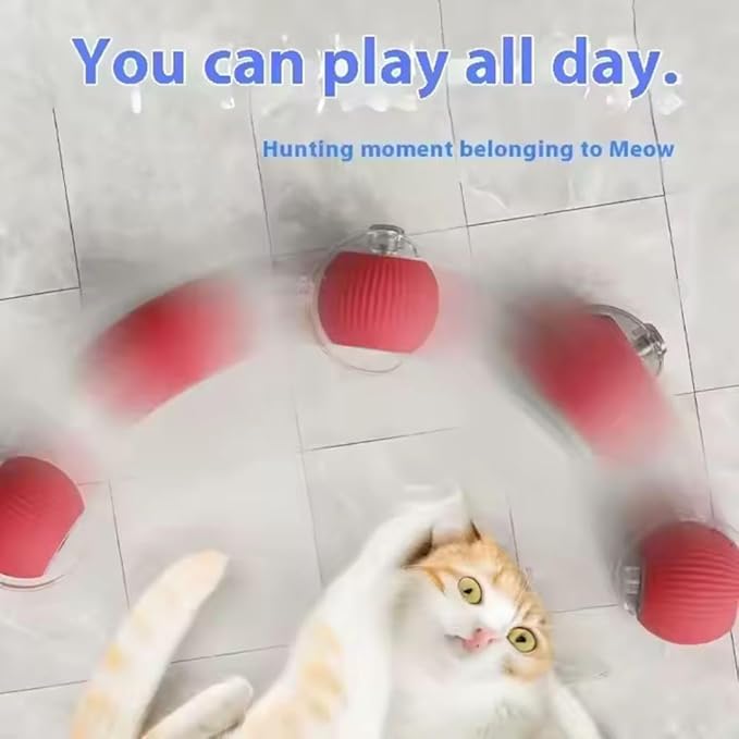 Interactive Pet Chase Toy - Rechargeable, Motion Ball, Self-Moving Kitten Toy for Indoor Interactive Playing, Smart Cat Rolling Ball-Mewly Pet