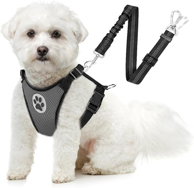 SlowTon Dog Seat Belt Harness for Car, Dog Car Harness Adjustable Mesh Breathable & Dog Seatbelt Safety Tether with Elastic Bungee for Small Medium Large Pets(Grey, Double Clip, XXXS)-Mewly Pet