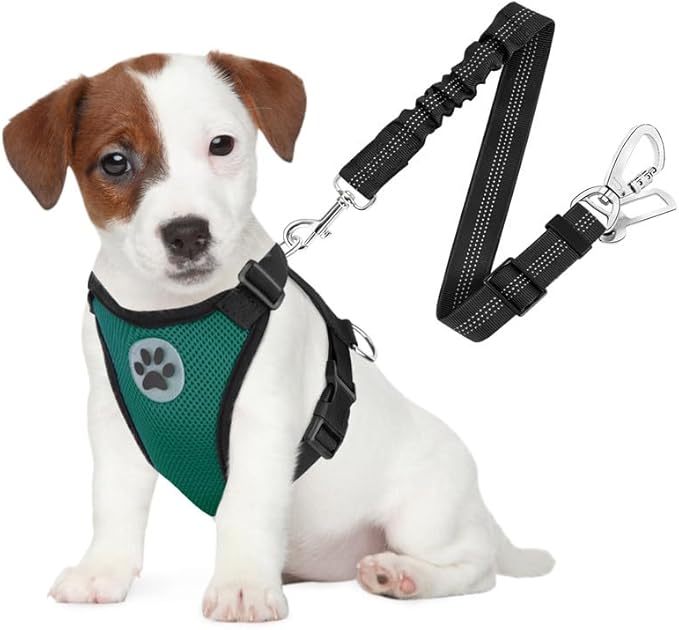 SlowTon Dog Seat Belt Harness for Car, Dog Car Harness Adjustable Mesh Breathable & Dog Seatbelt Safety Tether with Elastic Bungee for Small Medium Large Pets(Green, Double Clip, S)-Mewly Pet