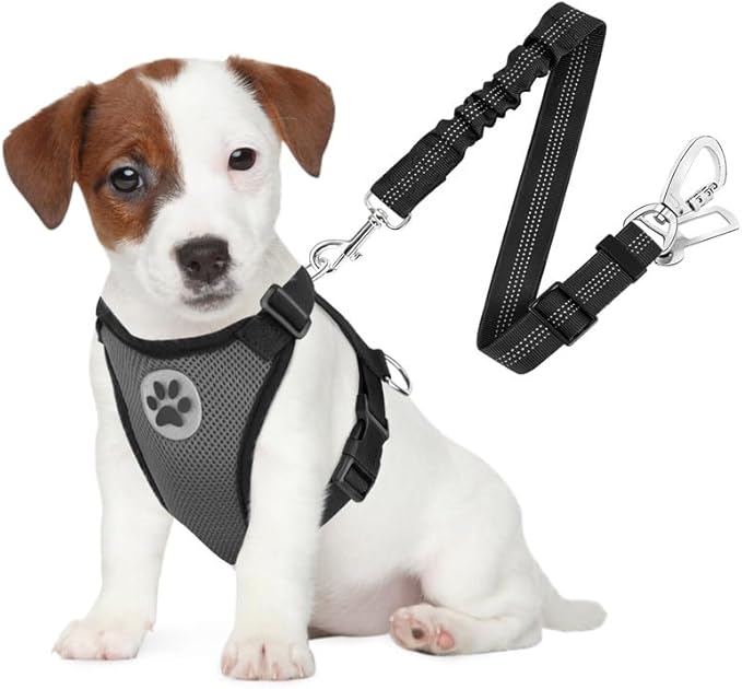SlowTon Dog Seat Belt Harness for Car, Dog Car Harness Adjustable Mesh Breathable & Dog Seatbelt Safety Tether with Elastic Bungee for Small Medium Large Pets(Grey, Double Clip, S)-Mewly Pet