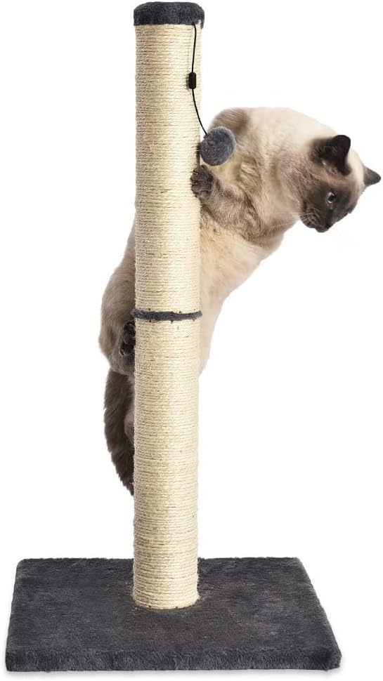 Amazon Basics Cat Scratcher - Indoor Classic Single Cat & Kittens Scratching Post, Medium (31.5"H) - Grey-Mewly Pet