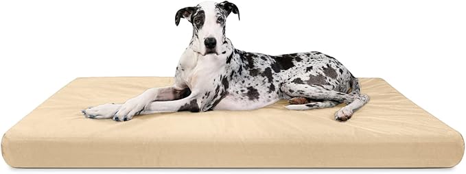 K9 Ballistics Tough Ripstop Orthopedic Rectangle Dog Bed Removable Washable Cover, Solid Orthopedic Foam for Size XXL Giant Big Dogs 68"x40", Sandstone-Mewly Pet
