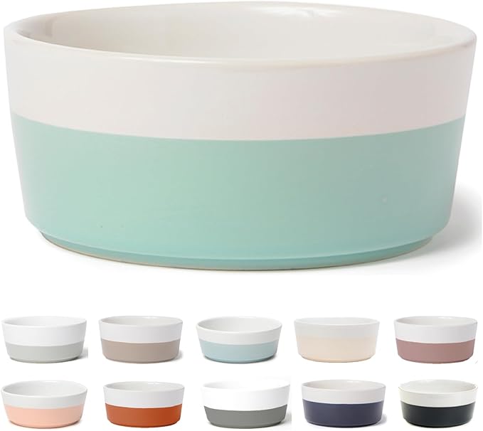 Waggo Dipper Ceramic Dog Bowl for Small and Large Breeds - Heavyweight and Durable Pet Food and Water Dish Crock, Dishwasher Safe, Modern (Mint, Large)-Mewly Pet