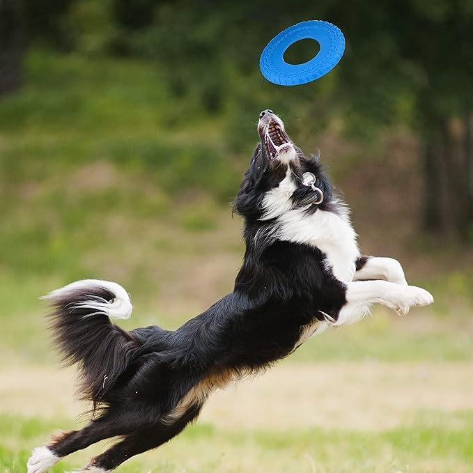 Nerf Dog Tire Flyer Outdoor Dog Toy, 10 Inch Flying Disc Dog Fetch Toy, Rubber Dog Toy for Medium Dogs and Large Dogs, Blue-Mewly Pet