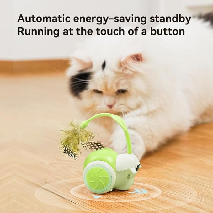Cat Toys for Bored Indoor Adult Cats,Remote Control Cat Toy with 4 Directions,LED Lights Interactive Remote Control Dog Toy (Green)-Mewly Pet