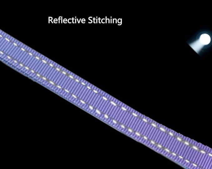 Hands Free Dog Leash for Large Medium Dogs Heavy Duty Bungee Reflective Adjustable Waist Leashes for Walking Running with Car Buckle 4-6FT (Purple)-Mewly Pet