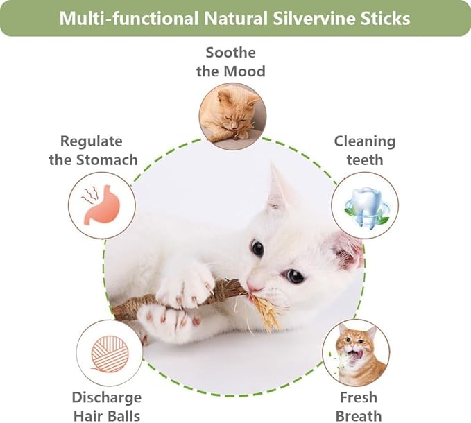 6 PCS Silvervine Sticks for Cats - Natural Cat Chew Toys for Teeth Cleaning, Kitten Teething & Aggressive Chewers-Mewly Pet