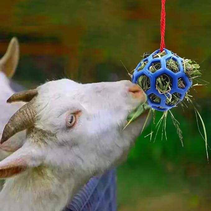 3PCS Hay Feeder Ball Toy for Horses, Goats & Livestock – Rainbow Colors with Hanging Red Cord, Stress Relief & Boredom Prevention (Green, Blue, Red)-Mewly Pet