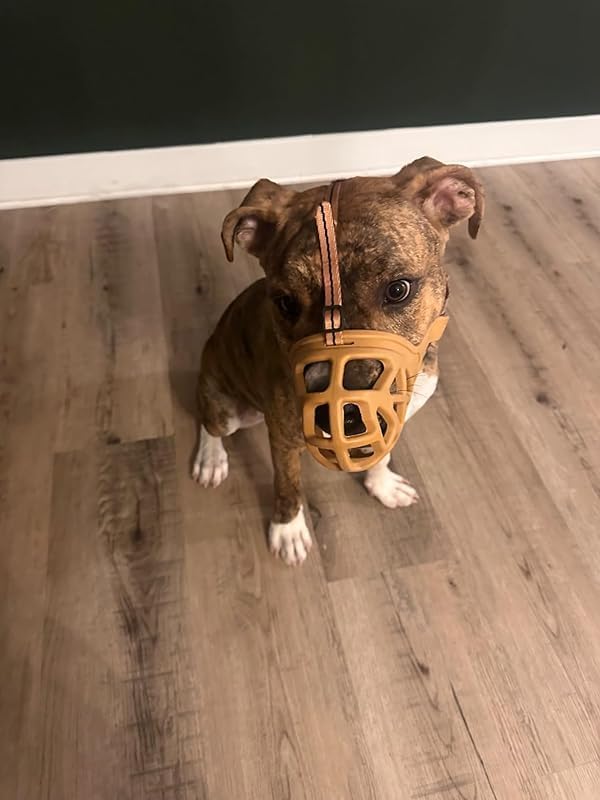 Mayerzon Dog Muzzle, Breathable Basket Muzzles for Small, Medium, Large and X-Large Aggressive Dogs Beagle German Shepherd Doberman, Cage Mouth Guard Stop Biting Chewing for Grooming Training-Mewly Pet