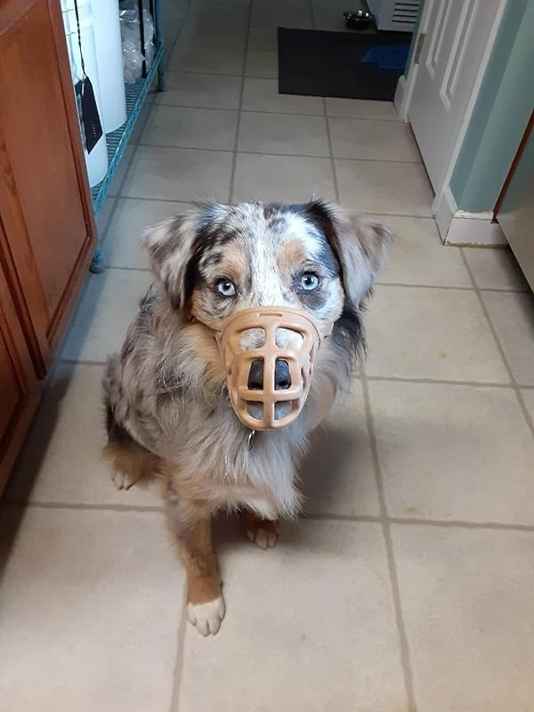 Mayerzon Dog Muzzle, Breathable Basket Muzzles for Small, Medium, Large and X-Large Aggressive Dogs Beagle German Shepherd Doberman, Cage Mouth Guard Stop Biting Chewing for Grooming Training-Mewly Pet