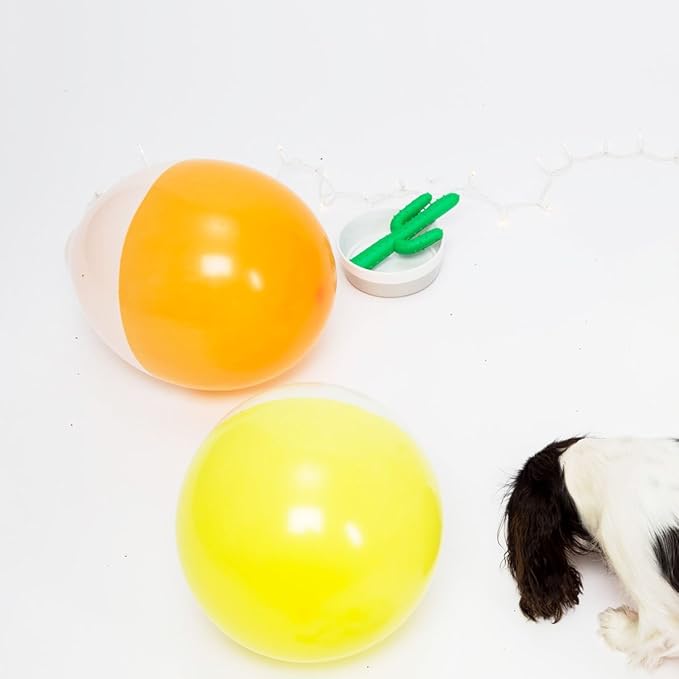 Waggo Dipper Ceramic Dog Bowl for Small and Large Breeds - Heavyweight and Durable Pet Food and Water Dish Crock, Dishwasher Safe, Modern (Dolphin, Small)-Mewly Pet