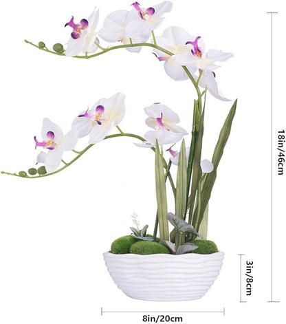 Large Artificial Potted Orchid Plant, Silk Flower Arrangement with Ceramics Vase, White