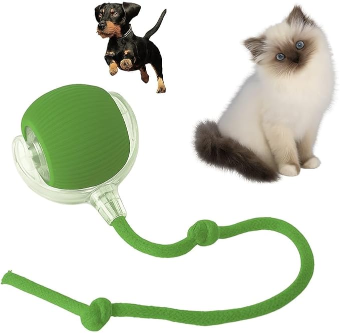 Indoor Cat Interactive Toy 360-degree Automatic Rolling Toy with Floor Flashing and Random Rolling for Cats and Dogs. Continuous Excitement, Fun and Stimulation for Your Cats and Dogs (Green)-Mewly Pet