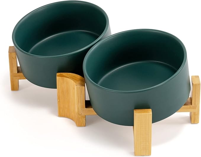 SPUNKYJUNKY 15° Slanted Ceramic Dog and Cat Bowl with Wooden Stand, Tilted Bulldog Food and Water Bowl No Slip Non-Spill for Cats Medium Dogs Big Face Pets 28.7 OZ (3.6 Cups, Green × 2)-Mewly Pet