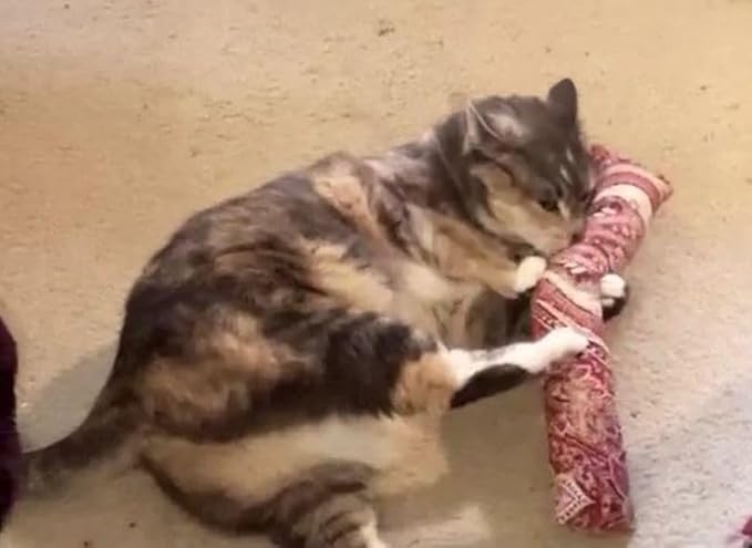 15" Catnip Cat Kicker Toys/Kitty Kick Sticks/Cat-Nip Kick Sticks (Ruby Red) (Kickers Filled with 1 oz Premium Canadian Catnip)-Mewly Pet