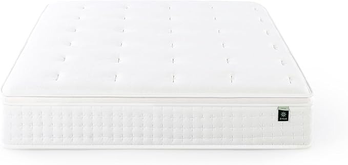 ZINUS 12 Inch Euro Top Pocket Spring Hybrid Mattress, Queen, Pressure Relief, Pocket Innersprings for Motion Isolation, Mattress in A Box