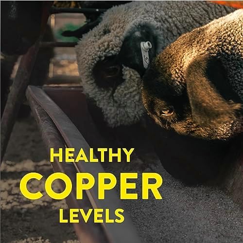 Redmond All Natural Sheep Mineral Supplement - Essential Trace Minerals for Overall Health and Growth Support - 5 lbs-Mewly Pet