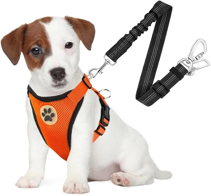 SlowTon Dog Seat Belt Harness for Car, Dog Car Harness Adjustable Mesh Breathable & Dog Seatbelt Safety Tether with Elastic Bungee for Small Medium Large Pets(Orange, Double Clip, S)-Mewly Pet