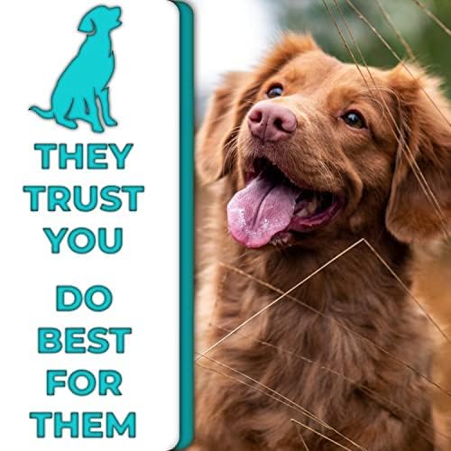 H&H Pets 2-in-1 Grooming Brush for Dogs & Cats - Pin Slicker and Bristle Brush Combo, Perfect for Pet Hair Grooming-Mewly Pet