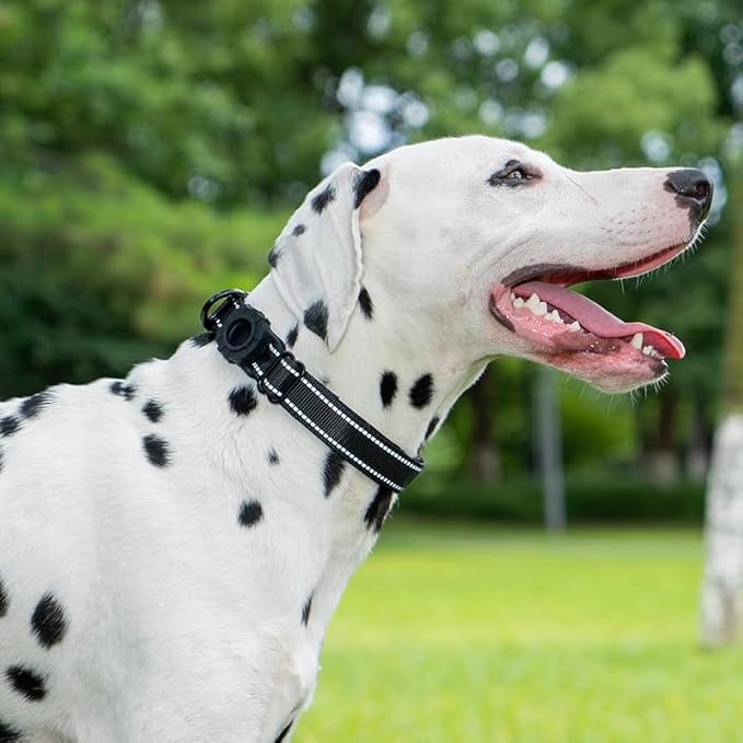 JSXD AirTag Dog Collar, Night Reflective Nylon Dog Collar for Small Medium Large Dogs,Lockable Quick Release Buckle,Padded Breathable Pet Collar with AirTag Holder (Black, Medium)-Mewly Pet