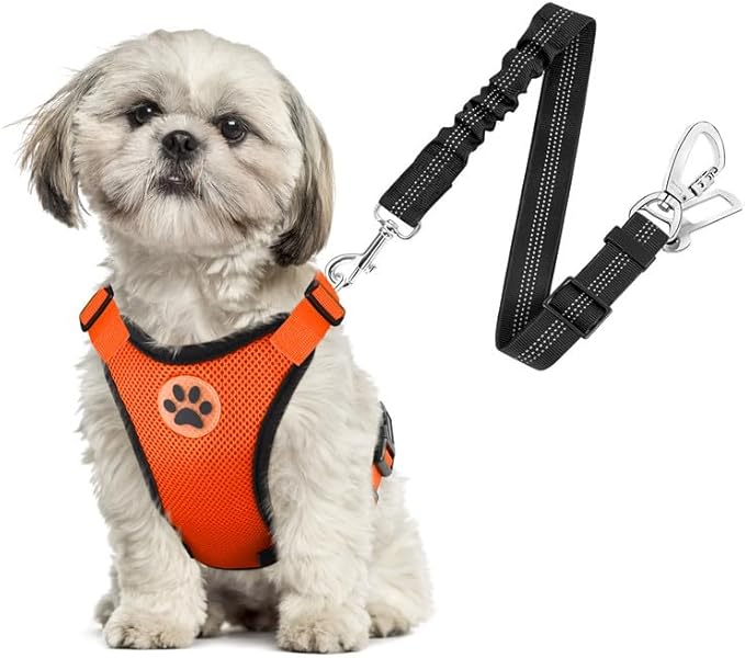 SlowTon Dog Seat Belt Harness for Car, Dog Car Harness Adjustable Mesh Breathable & Dog Seatbelt Safety Tether with Elastic Bungee for Small Medium Large Pets(Orange, Double Clip, XS)-Mewly Pet
