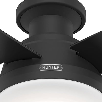 Hunter 52389 Dempsey Ceiling Fan 52 inches Matte Black