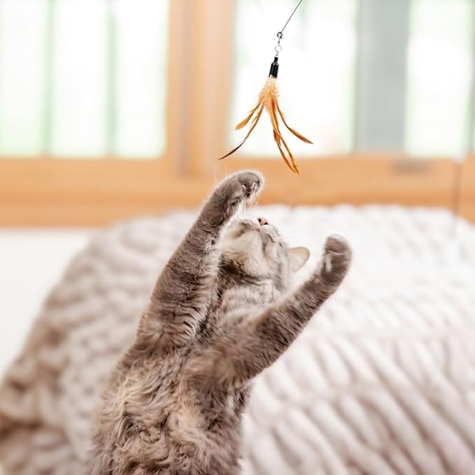 Interactive Cat Toys for Indoor Cats 2 in 1 Cat Wand Toys Solid Round Base Toys for Bored Indoor Adult Cats Self Play Feather Toy Bird Feather-Mewly Pet