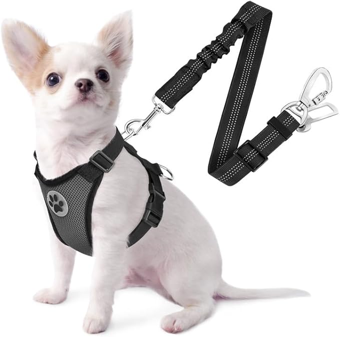 SlowTon Dog Seat Belt Harness for Car, Dog Car Harness Adjustable Mesh Breathable & Dog Seatbelt Safety Tether with Elastic Bungee for Small Medium Large Pets(Grey, Double Clip, XXS)-Mewly Pet