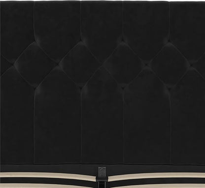 Novogratz The Her Majesty Upholstered Bed, Queen, Black Velvet