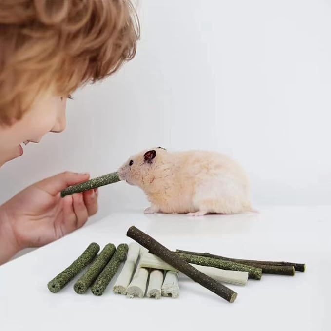 300g Guinea Pig & Rabbit Chew Toys with Apple & Timothy Sticks - Prevent Overgrown Teeth with Sweet Bamboo Treats - Ideal Rabbit Treats Included!-Mewly Pet