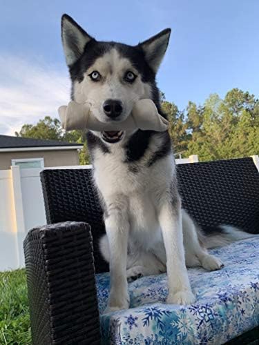 hotspot pets 10 Pack - 6-7 Inch Certified Facility Rawhide Dog Chews - from Grass Fed Brazilian Cows - Promotes Tooth Health and Good Behavior (10 Pack)-Mewly Pet