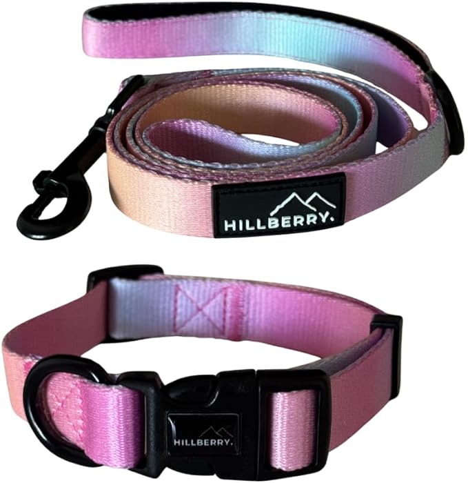 HILLBERRY Dog Collar and Leash Set Adjustable Rainbow Pink Purple Blue Puppy Pet Essentials and Supplies - Size L-Mewly Pet