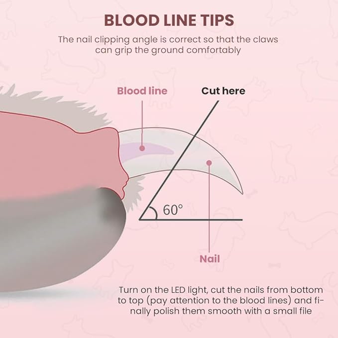 LED Pet Nail Clippers,Upgrade Cat Nail Clipper with Light,Cat Claw Trimmer Nail Clippers for Dogs,Trim Your Pets Nails Easy and Pain-Free Grooming Tool for Small Animals (Blue 1PCS)-Mewly Pet