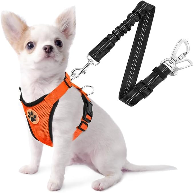 SlowTon Dog Seat Belt Harness for Car, Dog Car Harness Adjustable Mesh Breathable & Dog Seatbelt Safety Tether with Elastic Bungee for Small Medium Large Pets(Orange, Double Clip, XXS)-Mewly Pet