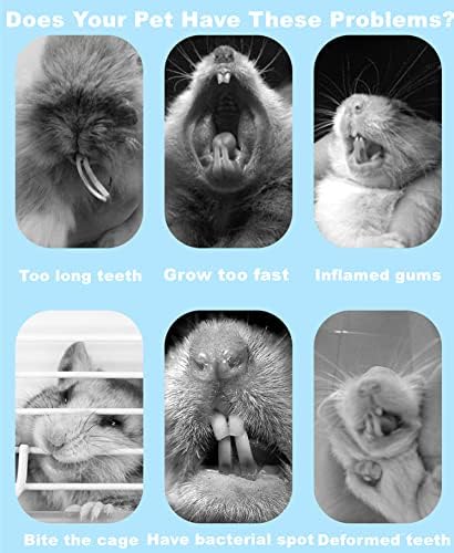 150g 3 Types of Combined Chew Toys Molar Sticks Sweet Bamboo Apple Branch Timothy Grass for Pets Chinchilla Squirrel Gerbil Hamster Squirrel Guinea Pigs-Mewly Pet