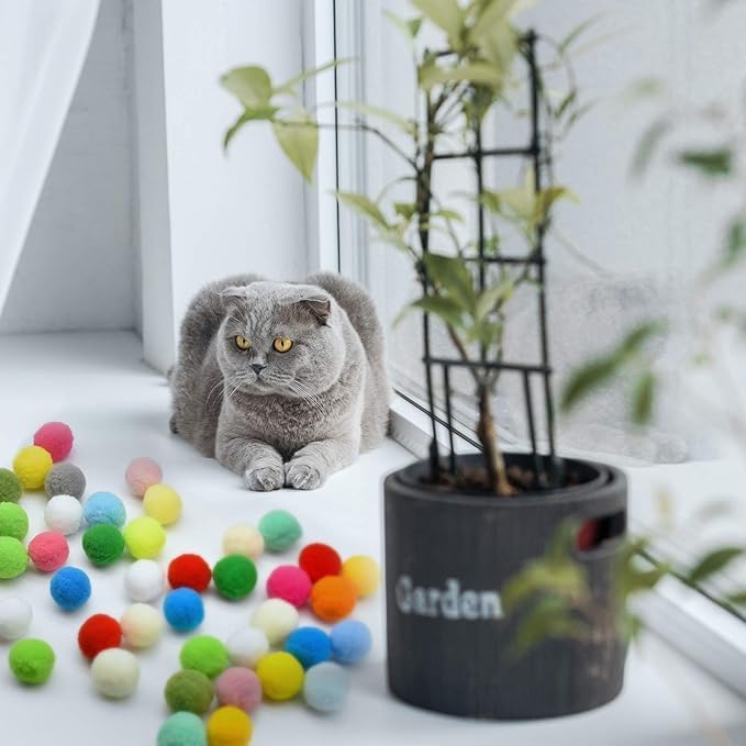 Loty Store 50PCS Cat Toys Balls 3CM,Soft Colorful Pompoms Ball Cat Chew Toy Kitten Pet Toy, Scratching Balls Toy Interactive Pet Supplies for Cats Kittens Dog-Mewly Pet