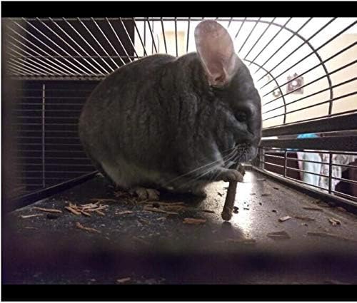 250g Apple Sticks Small Animals Molar Wood Treats Toys for Rabbits Chinchillas Guinea Pig Hamster Gerbil Parrot Bunny and Small Animals Chew Stick Toys Treats-Mewly Pet