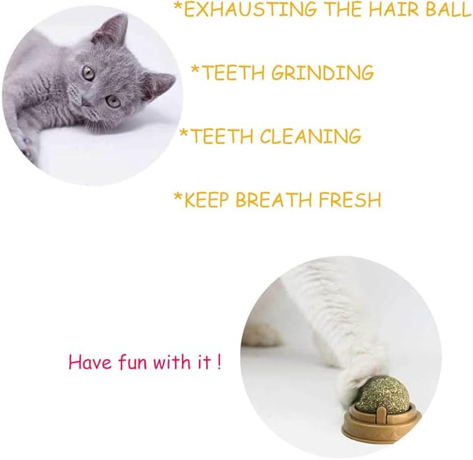 Oncpcare 4 Pack Catnip Balls, Natural Mint Leaf Catnip Ball for Cats Wall Cat Nip Cat Treats Magic Toy for Kitten Kitty Playing Chewing-Mewly Pet