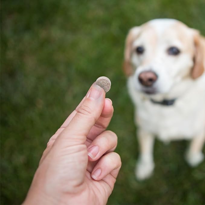 PHS Joint MAX Triple Strength (TS) Chewable Tablets for Dogs - Glucosamine, Chondroitin, MSM - Vitamins, and Antioxidants - Hip and Joint Pain Relief and Support Supplement - Made in USA - 120 Tablets-Mewly Pet