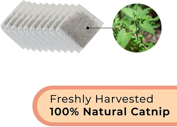 Interactive Catnip Bird Toy Set (10-Pack Replacement Catnip Pouches)-Mewly Pet