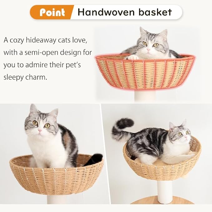 Wooden Cat Tree for Large Cats, Modern Multi-Level Condo with Natural Wood, Indoor Cat Furniture for Medium and Big Pets (Cream Y909S)-Mewly Pet