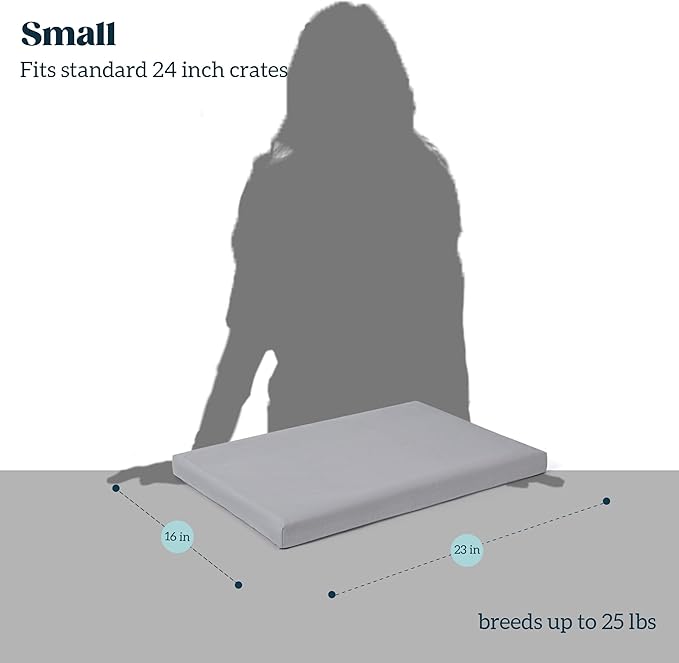 Cybarmour Indestructible Dog Bed - Outdoor Waterproof Chew Proof Dog Crate Pad - Orthopedic Kennel Mat for Aggressive Chewers - Small Breeds & Fits 24-Inch Crate - 23"x16", Limestone-Mewly Pet