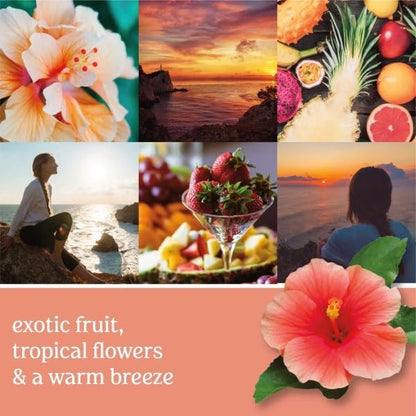 Yankee Candle Scent Plug Refill, Cliffside Sunrise (Pack of 4)