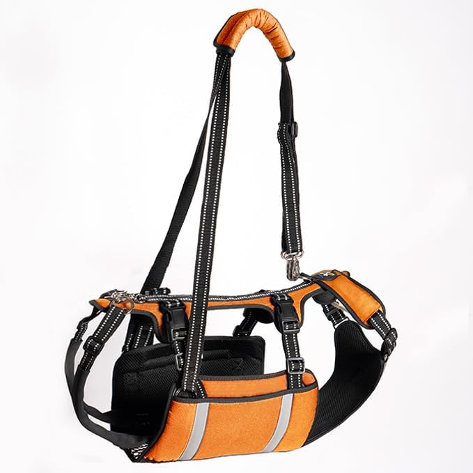 COODEO Mobility Dog Lift Harness, Emergency Carry Sling, Pet Rear Leg Support Rehabilitation Lifts Vest, Dog Carrier for Senior Dogs Joint Injuries, Arthritis (Orange, XL)-Mewly Pet