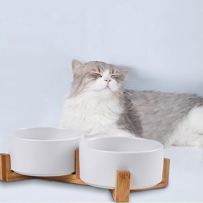 Petygooing Dog Bowls,White Ceramic Cat Dog Bowl Set with Wood Stand for Food and Water Feeder, Modern Pet Dish Set for Cats and Small Size Dogs Puppy (13.5OZ/5.1 in)-Mewly Pet