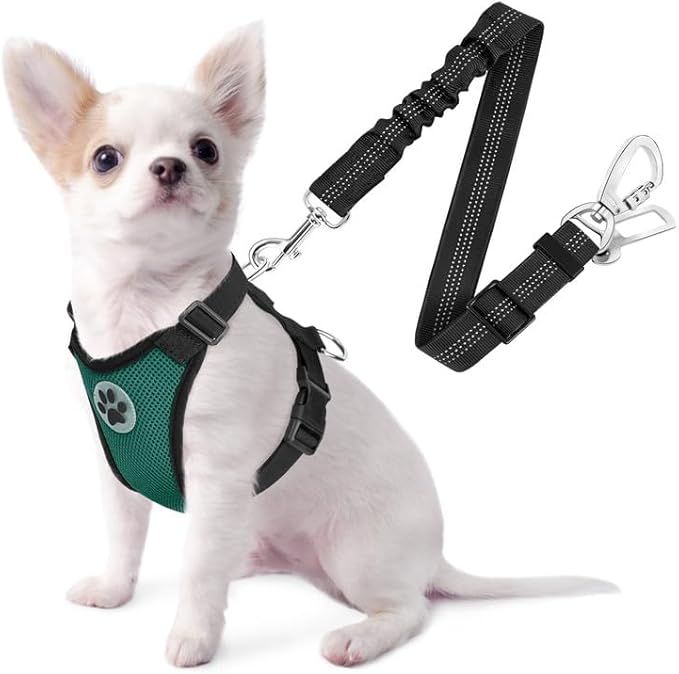 SlowTon Dog Seat Belt Harness for Car, Dog Car Harness Adjustable Mesh Breathable & Dog Seatbelt Safety Tether with Elastic Bungee for Small Medium Large Pets(Green, Double Clip, XXS)-Mewly Pet