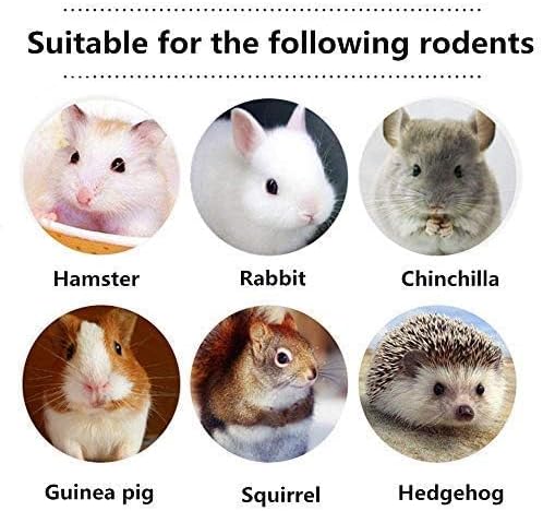 600g Guinea Pig and Rabbit Chew Toys - Sweet Bamboo and Timothy Apple Sticks for Healthy Teeth and Relaxation - Natural and Safe Guinea Pig Chew Toys-Mewly Pet