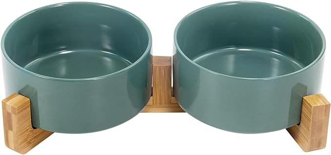 SPUNKYJUNKY Ceramic Dog and Cat Bowl Set with Wooden Stand, Modern Cute Weighted Food Water Set for Small Size Dogs (13.5OZ) & Medium Sized Dogs (28.7OZ) & Cats (3.6 Cups, 2 × Light Green)-Mewly Pet