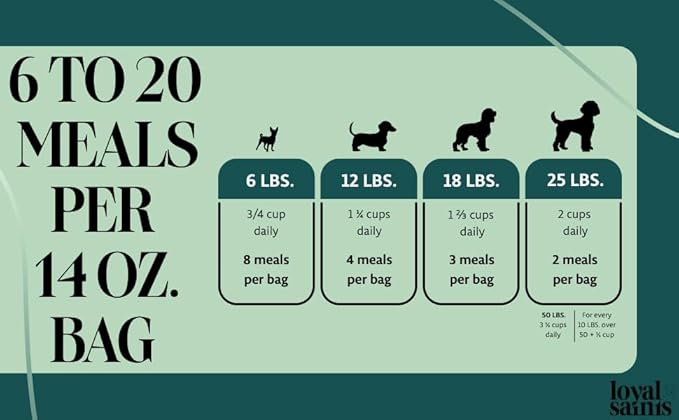 Freeze Dried Raw Dog Food - Premium Beef Flavor with High Protein and Grain Free Dog Food for Small or Large Breeds and Picky Eaters - Versatile as Meal Topper, Snack, and Treats, 14 Oz-Mewly Pet