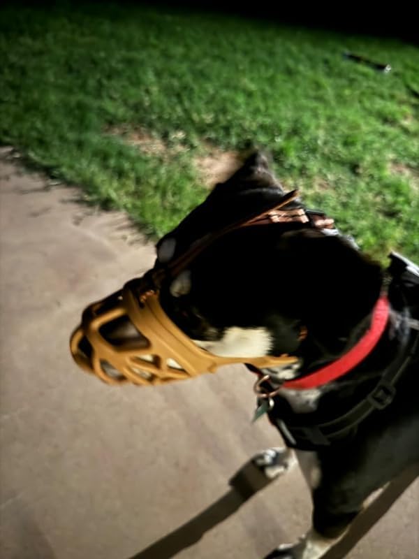 Mayerzon Dog Muzzle, Breathable Basket Muzzles for Small, Medium, Large and X-Large Aggressive Dogs Beagle German Shepherd Doberman, Cage Mouth Guard Stop Biting Chewing for Grooming Training-Mewly Pet